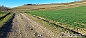 20230110_145435 - Dalla terra... il grano